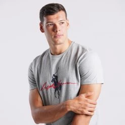 Συμφωνίες 😍 T-Shirts | Μπλούζα κοντό μανίκι Polo Ralph Lauren Ανδρικό T-shirt ANDOVER HEATHER 🎁 -adidas-originals Κατάστημα polo ralph lauren sscncmslm1 short sleeve t shirt 6